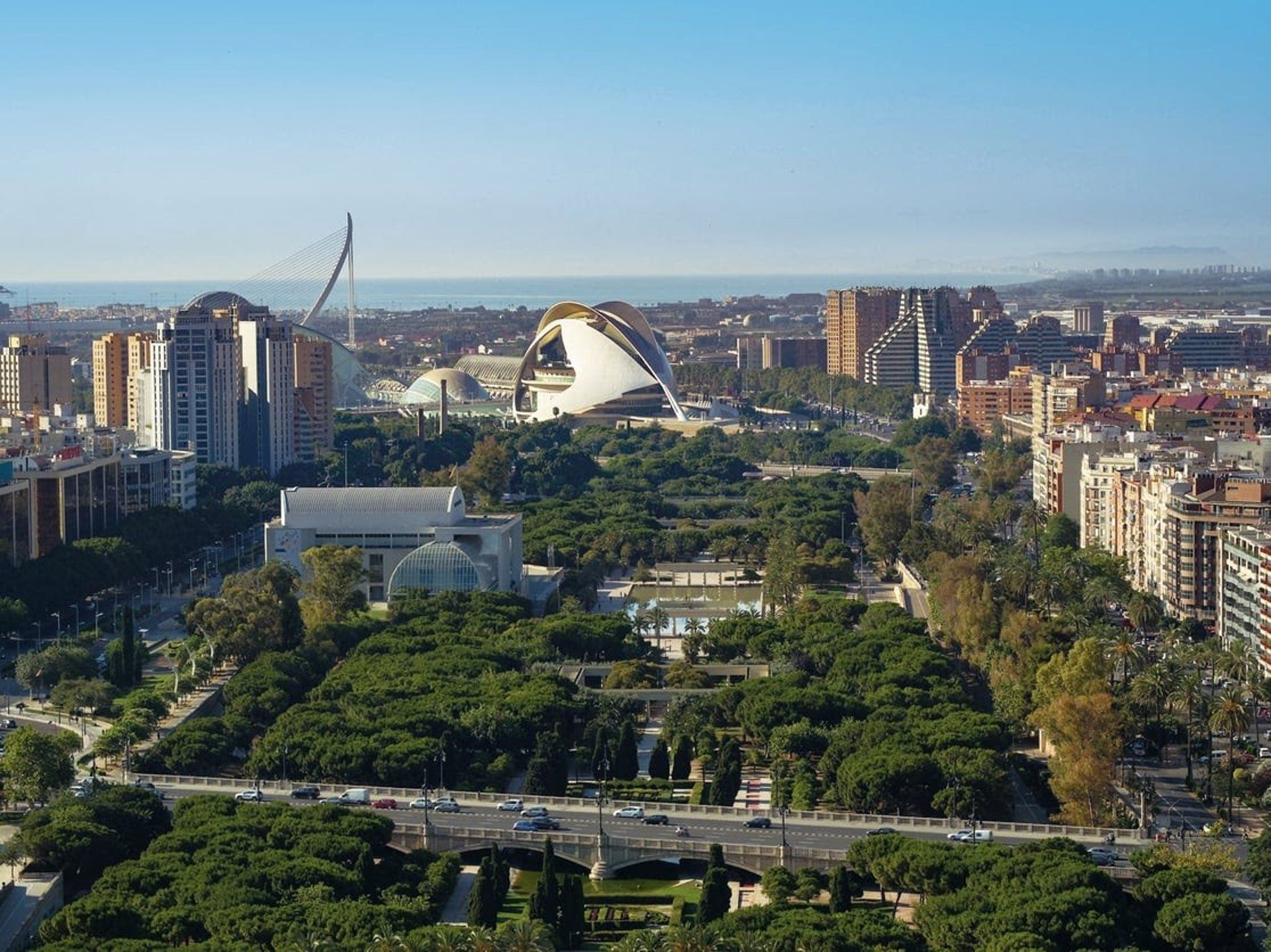Imatge del Jardí del Túria de València - VISIT VALÈNCIA