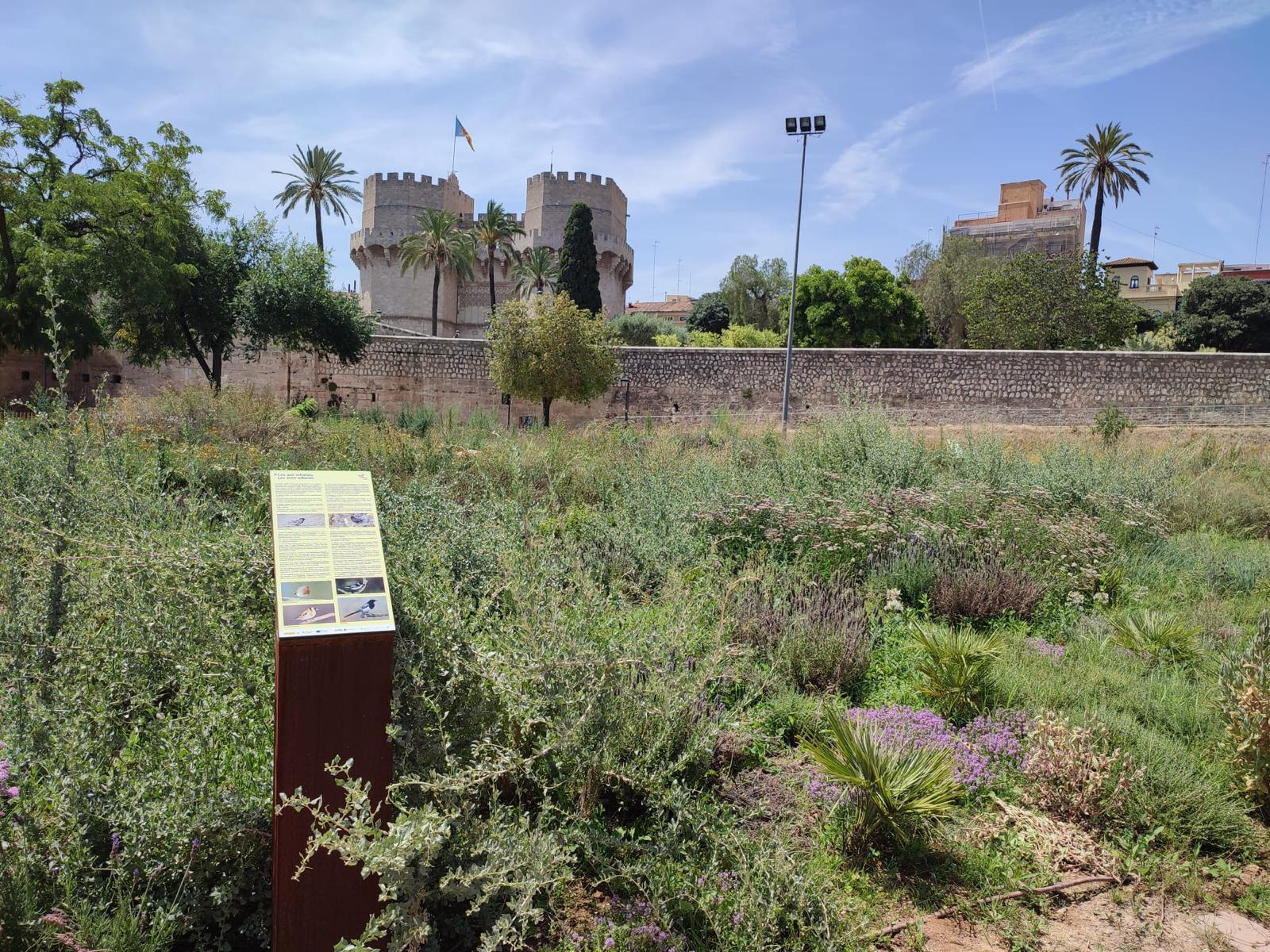 Jardín de Polinizadorrs en el Jardín del Turia