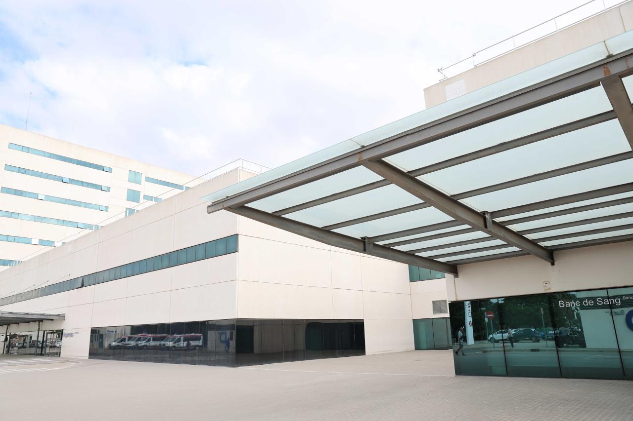 Hospital La Fe