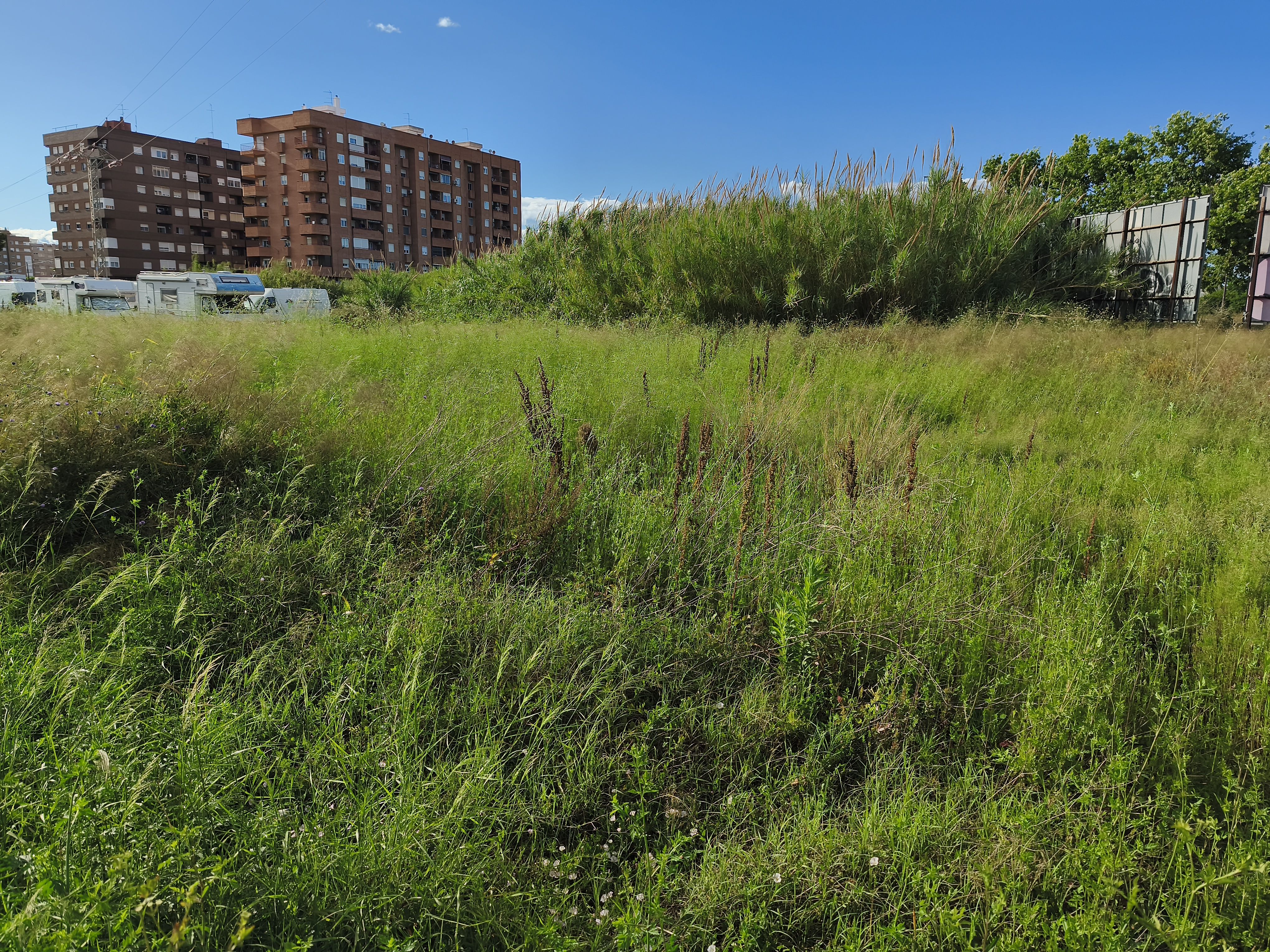 Camí de Farinós en Benimaclet, València