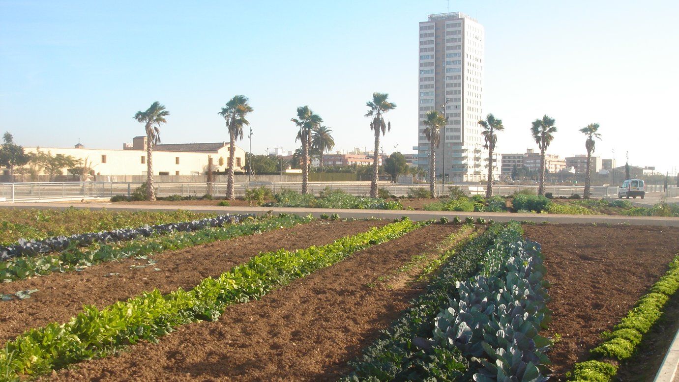 Huerto urbano Sociopolis