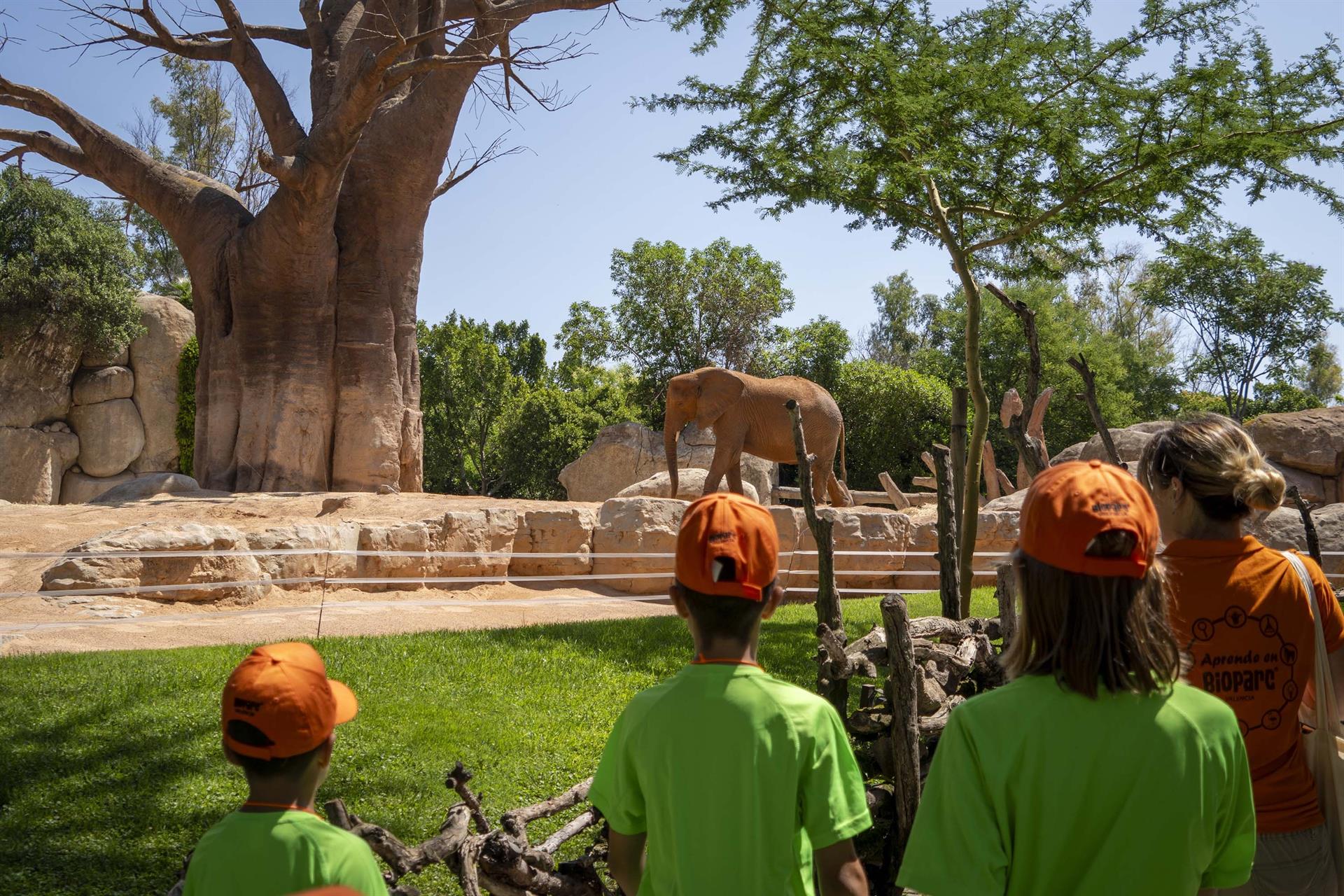 Expedició Àfrica Estiu - BIOPARC Expedició Àfrica Estiu - BIOPARC
