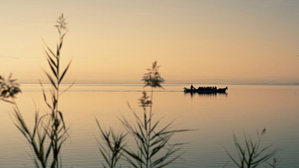 L'Albufera