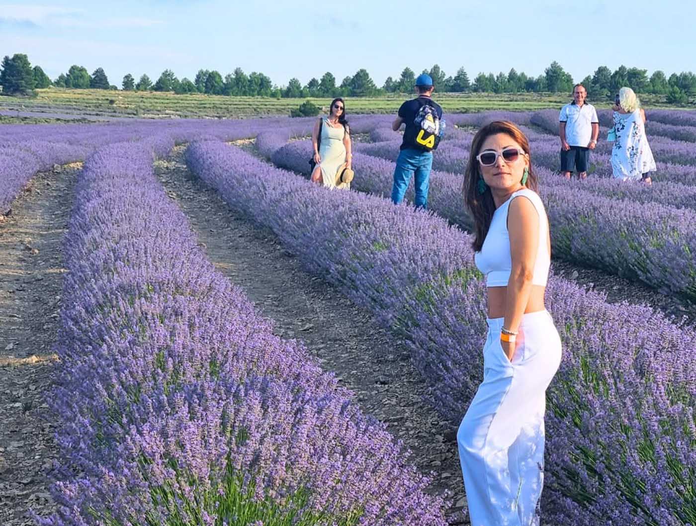 Visita a un camp de lavanda en Ademuz / Foto: Ecoaromuz Visita a un camp de lavanda en Ademuz / Foto: Ecoaromuz