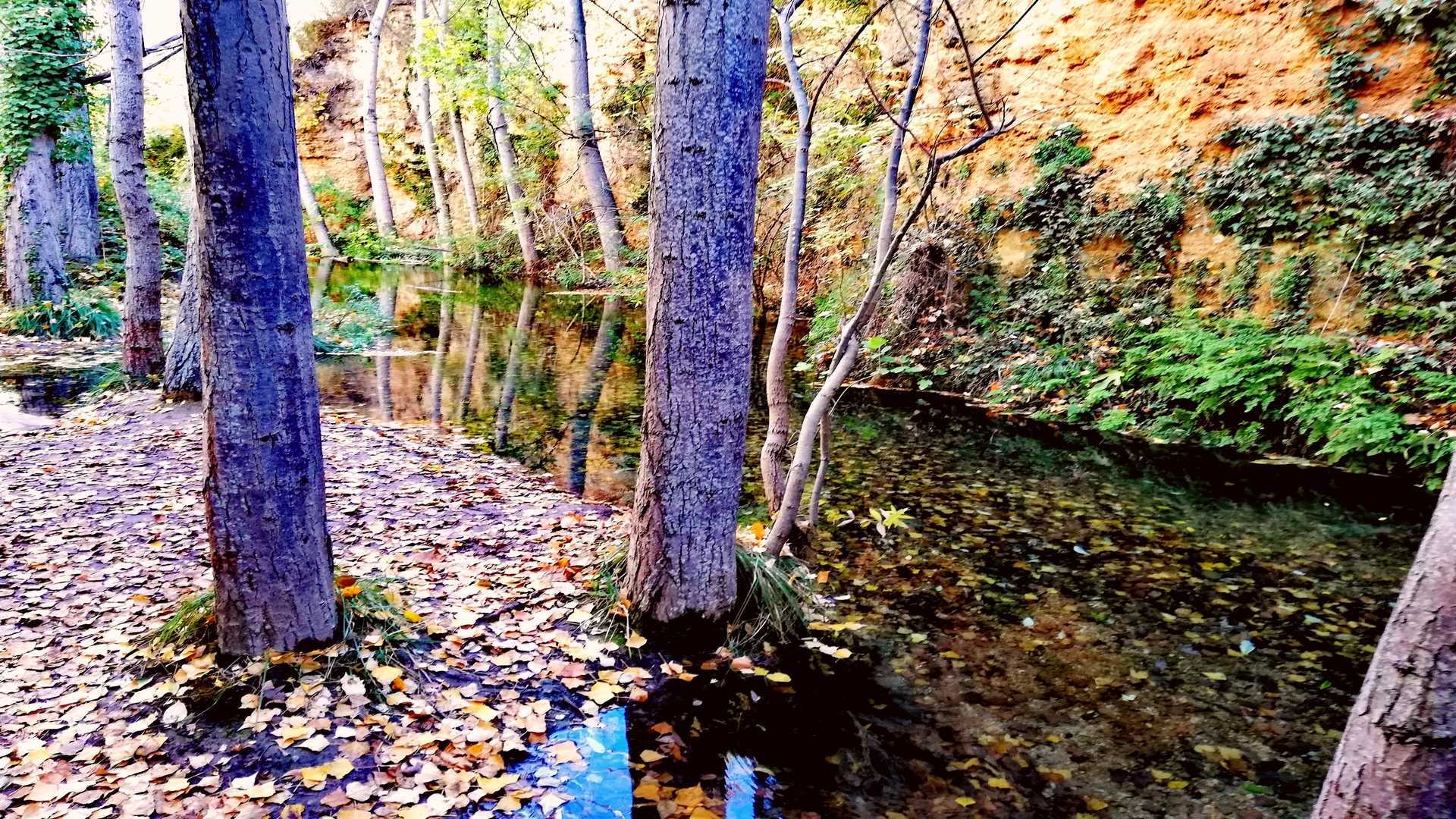 El Rincon de Ademuz El Rincon de Ademuz