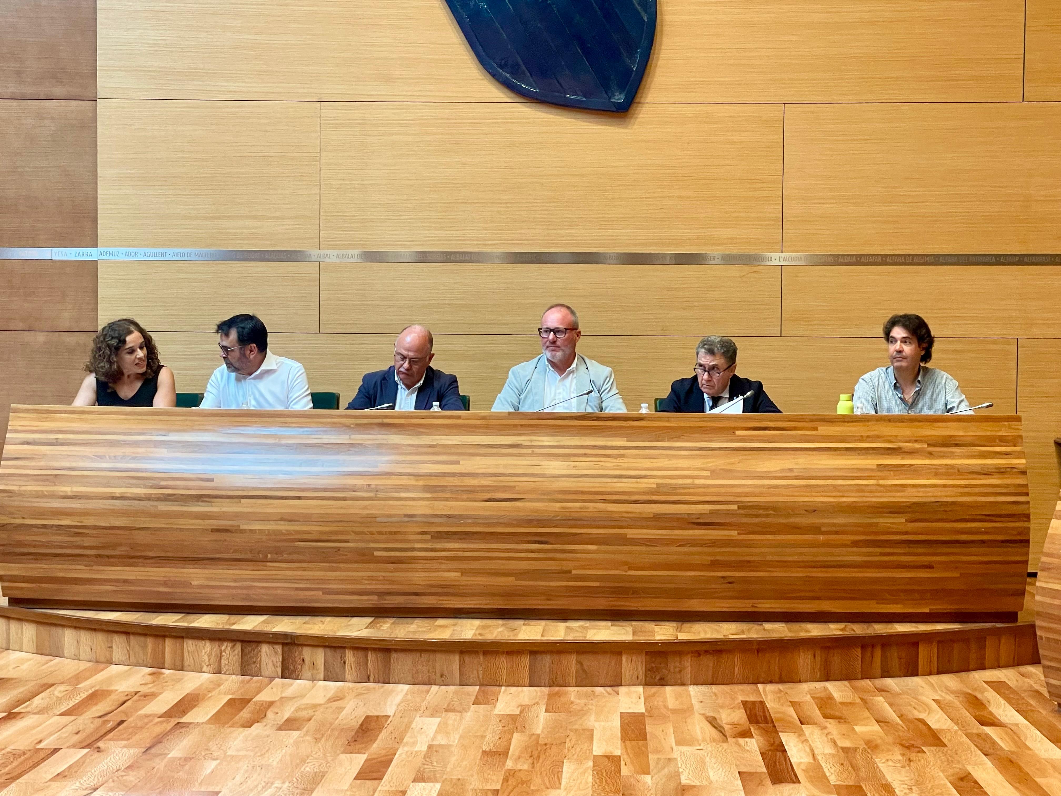Ple de la Dipu Ple de la Dipu
