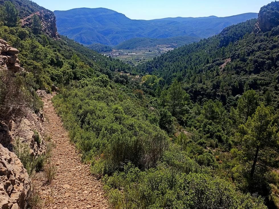 Caminos rurales