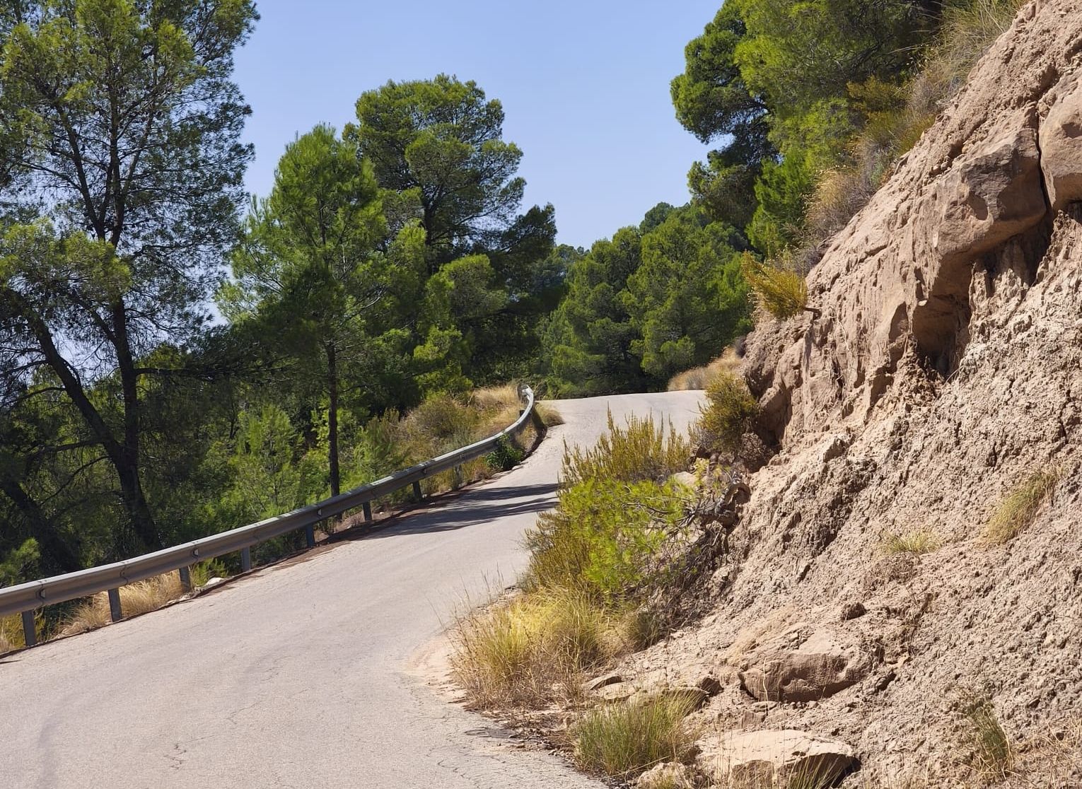 Camino del Pansero