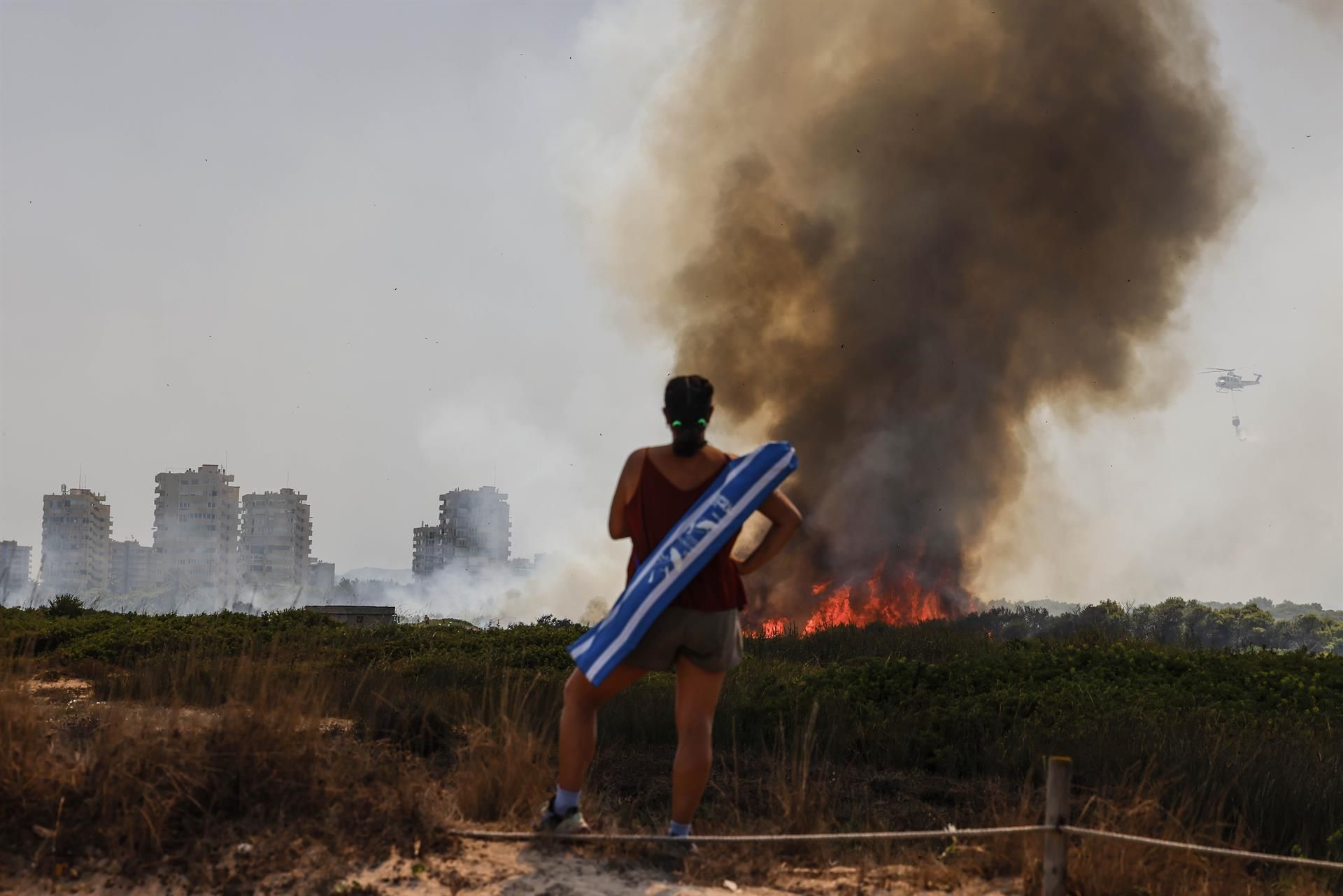 Una mujer observa el incendio de El Saler desde la playa - ROBER SOLSONA (Europa Press) Una mujer observa el incendio de El Saler desde la playa - ROBER SOLSONA (Europa Press)