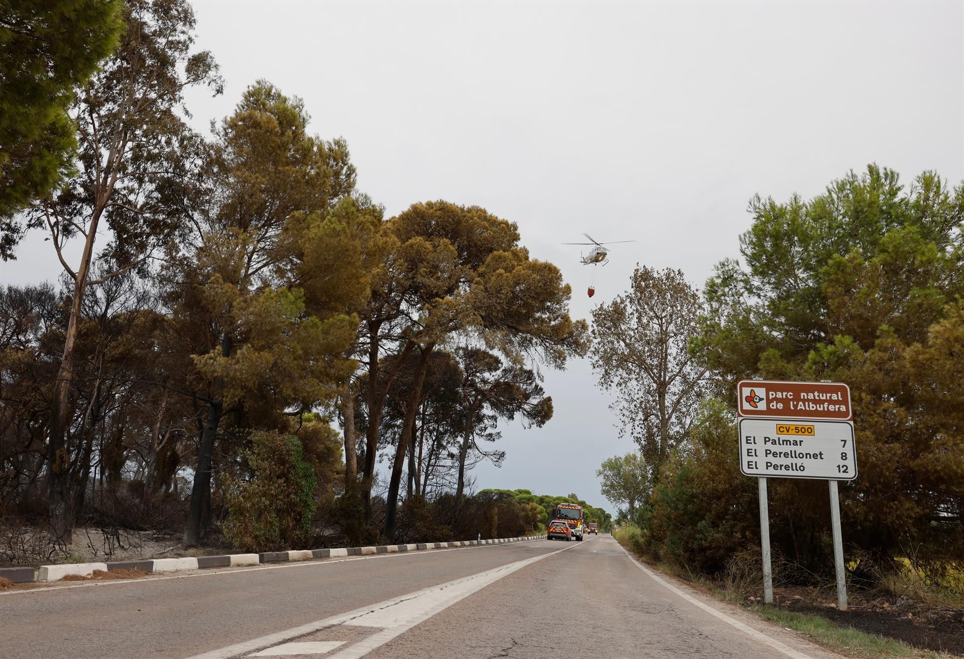 Entrada al parc natural de El Saler - Robert Solsona (Europa Press)