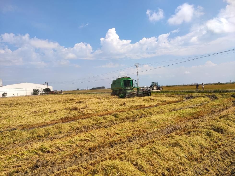 Imagen de un campo Imagen de un campo
