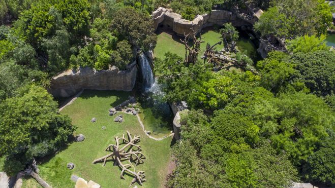 Selva ecuatorial de BIOPARC Valencia , vista aérea foto con dron Selva ecuatorial de BIOPARC Valencia , vista aérea foto con dron