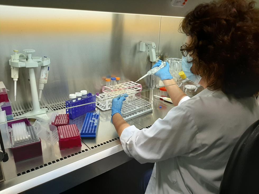 Investigación contra el cáncer Investigación contra el cáncer