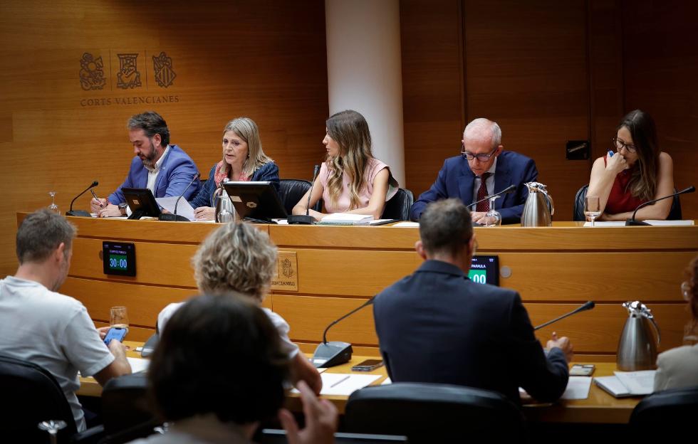 image?url=https%3A%2F%2Fcomunica.gva.es%2Fo%2Fadaptive media%2Fimage%2F415425503%2Fm%2F260925 FOTO1 Comisi%25C3%25B3n