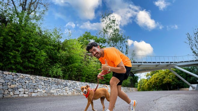 Dogfy Run Dogfy Run