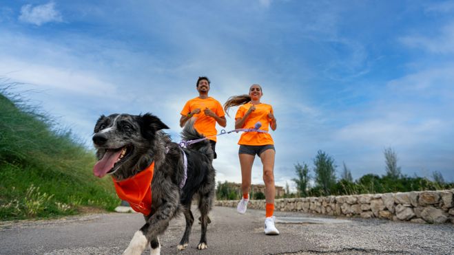 Dogfy Run Dogfy Run