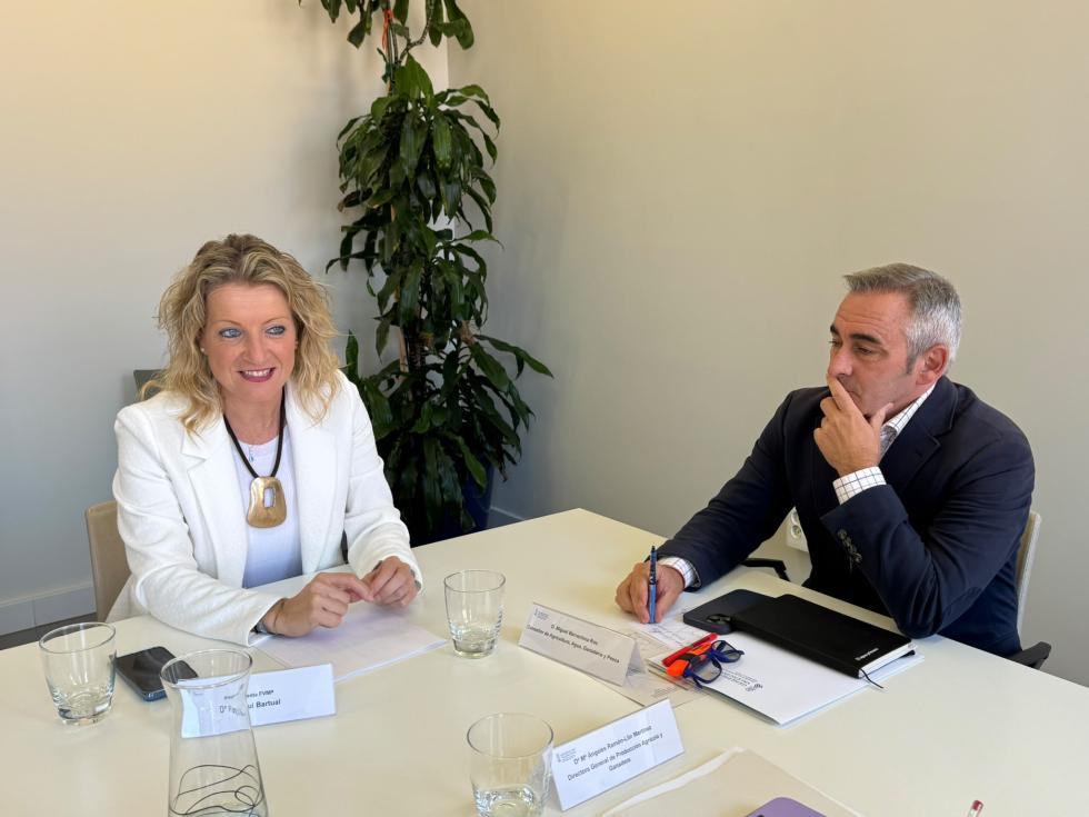 El conseller Miguel Barrachina y la presidenta de la Federación Valenciana de Municipios y Provincias (FVMP), Paqui Bartual El conseller Miguel Barrachina y la presidenta de la Federación Valenciana de Municipios y Provincias (FVMP), Paqui Bartual
