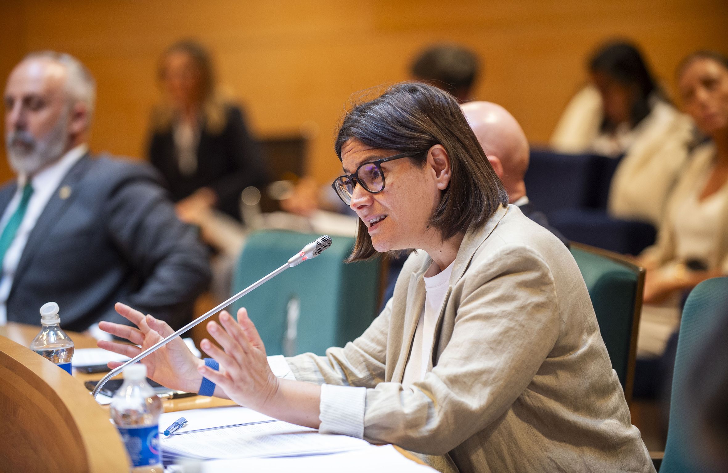 Laura Sáez, diputada de Hacienda de la Diputació de València Laura Sáez, diputada de Hacienda de la Diputació de València