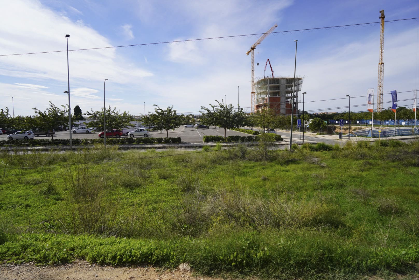 Santa Rita Santa Rita