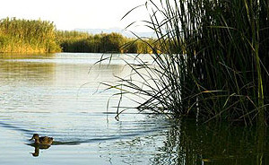 Font: turisvalencia.es