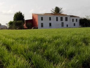 13522705_10154301008884320_3047267924862511225_o