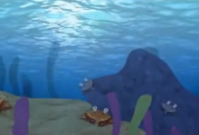 Kailo en la Rambleta